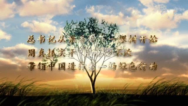 觀看微視 頻（pín）《眾人植樹樹成林》——觀（guān）後感