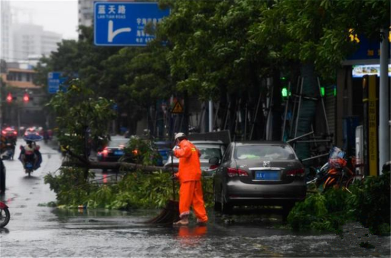 海南（nán）台風現（xiàn）場——轉載網絡圖片