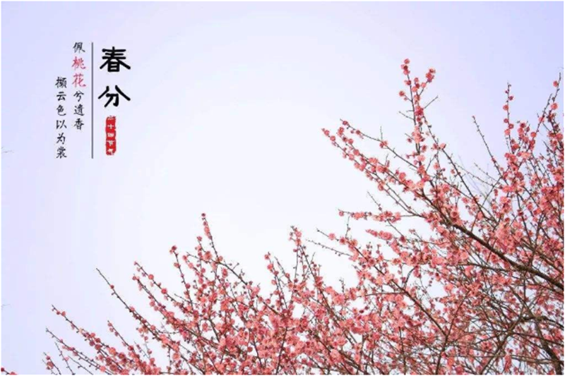 何為（wéi）二十四節氣“春（chūn）分”貝朗線材自動成（chéng）型機小編帶（dài）您了解