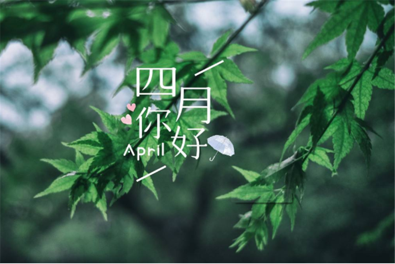 四月你好——轉載網絡圖（tú）片