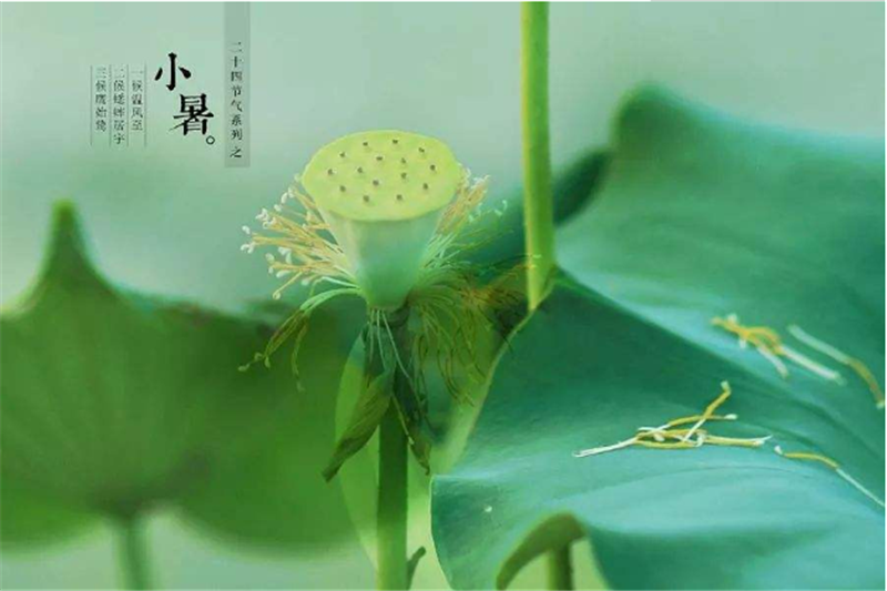 二十四節（jiē）氣——小暑