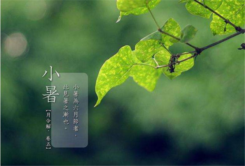 二（èr）十四節（jiē）氣——小暑