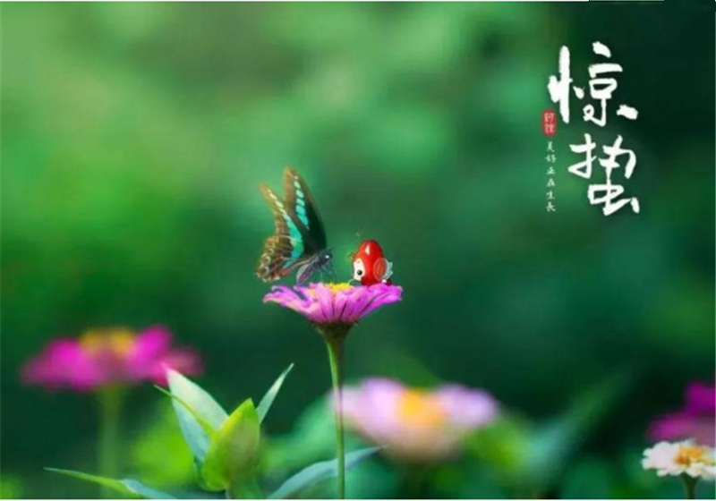 二十四節（jiē）氣“驚蜇”都有哪些習俗？